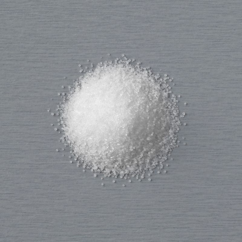 SALT COMMON TABLE