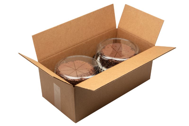 CAKE CHOCOLATE ICED 8" 2 LYR 8 SLICE-S/O