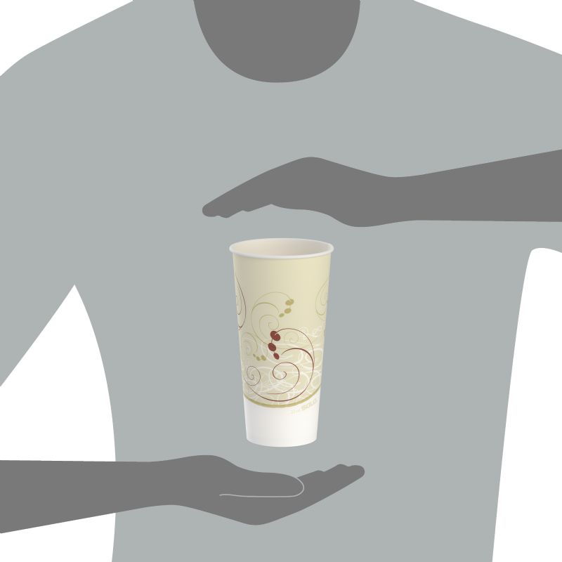 CUP PAPER COLD SYMPHONY 20 OZ-