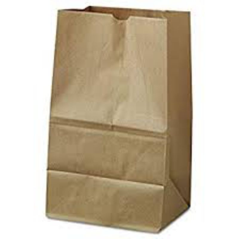 BAG PAPER BROWN SHORTY 20#